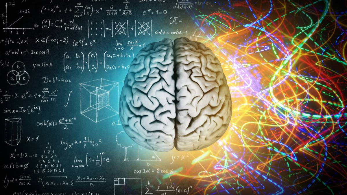 le concept du cerveau humain